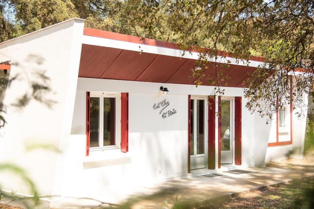 Villa Cat'Cha Ti Binta Ondres Exterior foto
